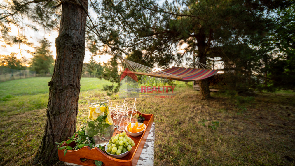 PREDANÉ -ZNÍŽENÁ CENA - EXKLUZÍVNE- ROD. DOM  Spišský Hrušov