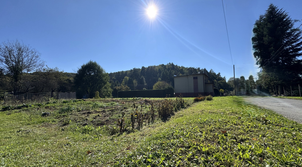 PREDANÉ - Pozemok - Veľký Šariš/časť Kanaš