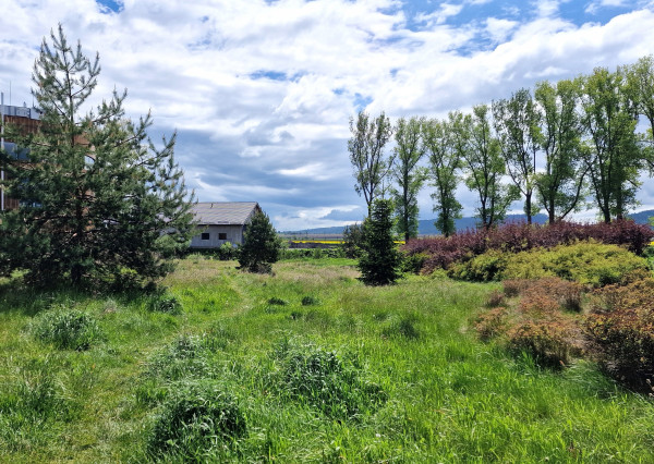 Pozemok - Spišská Teplica, okr. Poprad